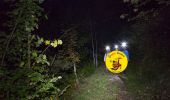 Trail Walking Ermenonville - RT_ERMENONVILLE_CROIX-NEUVE(Nocturne)_9.8Km - Photo 1