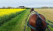 Trail Horseback riding Beaumont-Village - beaumontvillage_15 - Photo 1