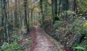 Tour Wandern Echternach - mullerthal e1 - Photo 2