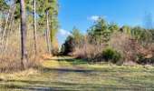 Randonnée Marche Lacroix-Saint-Ouen - en forêt de Compiègne_45_sur les Routes de Morienval et de Champlieu - Photo 17
