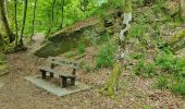 Trail Walking Bertrix - Auby sur Semois 070525 - Photo 18
