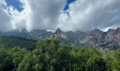 Trail Walking Quenza - rando Corse dans Bavella - Photo 8