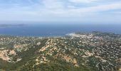 Tour Mountainbike Gassin - Saint-Tropez - Rayol Canadel sur mer  - Photo 4