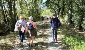 Trail Walking Vouthon - De Vouton en passant par Montbron avec retour par La Fenêtre  - Photo 8