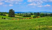 Tour Wandern Libramont-Chevigny - Balade à Remagne - Libramont-Chevigny - Photo 10