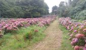 Tour Wandern Plouézec - GR_34_CH_21_Plouezec_Paimpol_20240802 - Photo 17