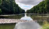 Trail Walking Enghien - Le Parc d'Enghien et ses jardins exceptionnels  - Photo 10