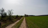 Randonnée A pied Libramont-Chevigny - Promenade non balisée entre Remagne et Freux - Photo 3