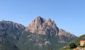 Tour Wandern Ota - Gorge de spelunca  - Photo 7