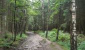 Trail Walking Theux - La Reid  .  Vert Buisson  .  Charmille  .  La Reid - Photo 4