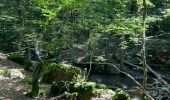 Excursión Senderismo Durbuy - Aisne - Photo 1