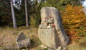 Tocht Stappen La Trinitat - les Fajoux - Photo 1