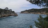 Trail Walking Cassis - Cassis  port miou, morgiou   - Photo 12
