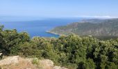 Trail Walking Pino - Randonnée Cap Corse  - Photo 2