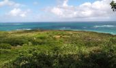 Excursión Senderismo Le Marin - Grand Macabou - Boucle des Mornes - Photo 8