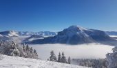 Trail Snowshoes Sarcenas - Le  Mont Fromage et ses crêtes - Photo 7