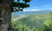 Trail Mountain bike Steinbach - Rocher Albert + Molkenrain  - Photo 1