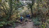 Randonnée Marche Cuers - cuers valcros grotte de trubis sourse des 3 boeufs - Photo 2