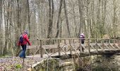 Trail Walking Daverdisse - Daverdisse  - Photo 9