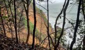 Excursión Senderismo Le Lorrain - La Crabiere Anse rivière Rouge - Photo 17