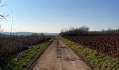 Tocht Stappen Aubange - Les étangs de Battincourt depuis Rachecourt  - Photo 5