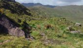 Tocht Stappen West Cork - Glengarriff - Ardrigole - Photo 5