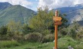 Trail Walking Saorge - saorge col peiremont crête peiremont - Photo 1