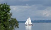 Tour Zu Fuß Unknown - Fredericia til Trelde Næs - Photo 1