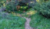 Randonnée Marche Gresse-en-Vercors - Le Pas de Serpaton - Photo 16