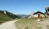 Trail On foot Marquartstein - Wanderweg 66 - Photo 6