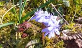 Trail Walking Villers-Saint-Martin - Villers st Martin Trail Walking Villers-Saint-Martin - Villers st Martin