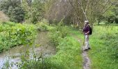 Tour Wandern Huldenberg - Huldenberg Terlanen site naturel Lasne - Photo 16