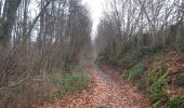 Trail Walking Sprimont - plain de fagne . adzeux . rouge thier . grand pierreux . plain de fagne - Photo 8