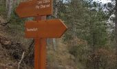 Trail Walking Tournefort - Fort Charvet - Photo 8