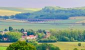 Tocht Stappen Nailly - Boucle 25 km autour de Nailly  - Photo 13