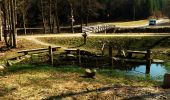 Percorso A piedi Baiersbronn - Seibelseckle - Schönmünzach - Photo 6