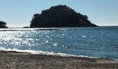 Tocht Stappen La Londe-les-Maures - Plage de l'Argentière à Cabasson en A/R-14-01-22 - Photo 13