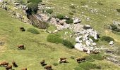 Tocht Paardrijden Torla-Ordesa - Gavarnie étape 4 - Photo 13