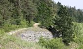 Percorso A piedi Treffurt - Adolfsburgstieg - Photo 3