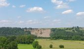 Randonnée Marche Comblain-au-Pont - oneux . hoyemont . chambrale . oneux  - Photo 8