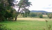 Trail Walking Volvic - Chopine et Chaumont  - Photo 1