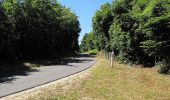 Tour Wandern Morienval - en forêt de Compiègne_37_les Tournantes des Petits Monts (sur et sous) - Photo 6