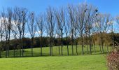 Randonnée Marche Genappe - Bois de Ways Ruart, à l’envers - Photo 3