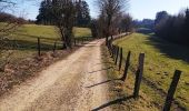 Tour Wandern Bütgenbach - Promenade le long de la Warche   - Photo 7