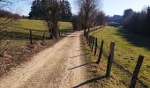 Tocht Stappen Bütgenbach - Promenade le long de la Warche   - Photo 7