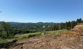 Tour Wandern Soudeilles - F 2024 puy de la tourte Soudeilled - Photo 5