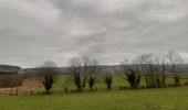 Excursión Senderismo Theux - theux cimetière . juslenville . hauts sarts . pouillu fourneau . rondehaye . theux cimetière  - Photo 3