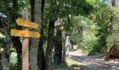 Tocht Stappen La Roche-des-Arnauds - Serigons - Rabou par petit Buëch  - Photo 16