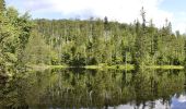 Tour Zu Fuß Waldhäuser Wald - Ranne - Photo 8