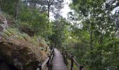 Excursión A pie Arbo - Sendeiro da Moura - Photo 10